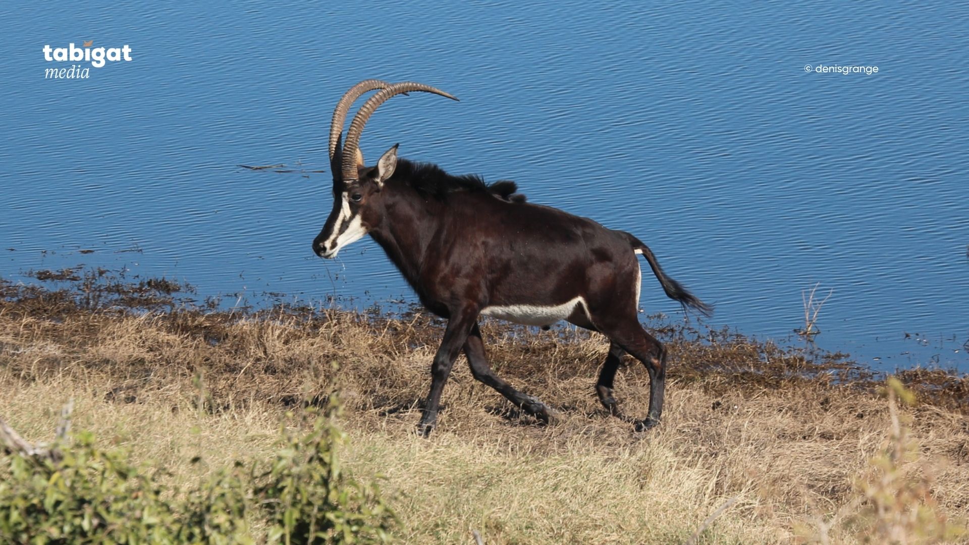 Ұрланған жеке интимдік фотосуреттер
